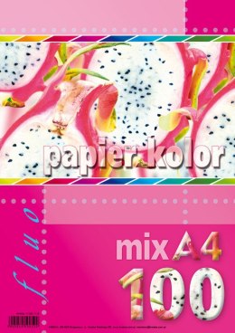 Papier kolorowy fluo A4 mix 80g Kreska Kreska