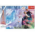 Puzzle Trefl Frozen 2 Magiczny świat sióstr 200 el. (13265) Trefl