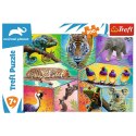 Puzzle Trefl 200 el. (13280) Trefl