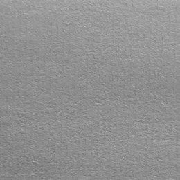 Papier ozdobny (wizytówkowy) Żeberkowy A4 biały 100g Protos Protos