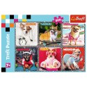 Puzzle Trefl 200 el. (113279) Trefl