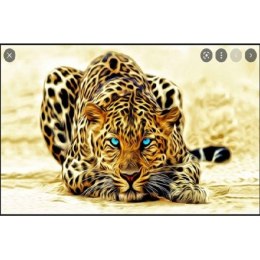Zestaw kreatywny Norimpex Diamentowa mozaika leopard 40x30cm (NO-1007294) Norimpex