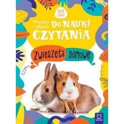 Książeczka edukacyjna Aksjomat Wyrazy i zdania do nauki czytania. Duże litery. Zwierzęta domowe Aksjomat