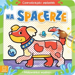 Książeczka edukacyjna Czarodziejski pędzelek. Na spacerze. Malowanka wodna Aksjomat Aksjomat