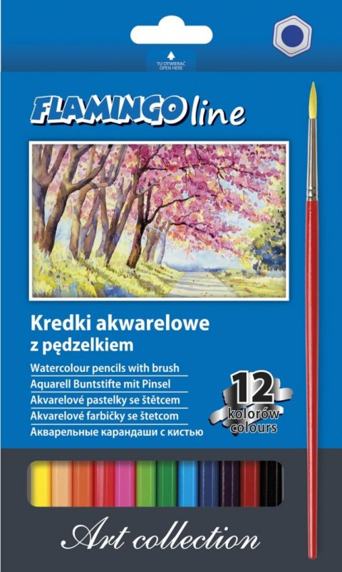 Kredki akwarelowe Scholine 12 kolorów z pędzelkiem Flamingo Line