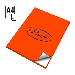 Etykieta samoprzylepna fluo A4 pomarańczowy Protos Protos