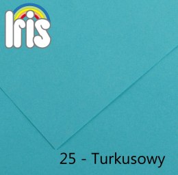 Brystol Canson Iris 25 A3 turkusowy 185g 50k [mm:] 297x420 (200040204) Canson