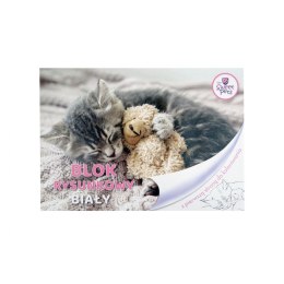 Blok rysunkowy Beniamin The Sweet Pets A4 biała 80g 20k [mm:] 296x210 Beniamin