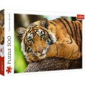 Puzzle Trefl Portret tygrysa 500 el. (37397) Trefl