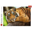 Puzzle Trefl Portret tygrysa 500 el. (37397) Trefl