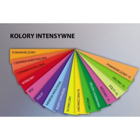 Papier kolorowy Trophee kolorowy A4 zielony fluorescencyjny 80g (xca42975) Trophee