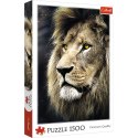 Puzzle Trefl Portret lwa 1500 el. (26139) Trefl