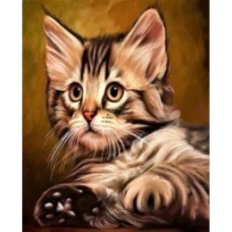 Zestaw kreatywny Norimpex malowanie po numerach - kotek mały (NO-1005526) Norimpex