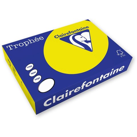 Papier kolorowy Trophee kolorowy A4 słoneczny 160g (xca41029) Trophee