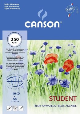 Blok artystyczny Canson Student A4 250g 10k [mm:] 210x297 (200005506) Canson