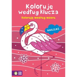 Książeczka edukacyjna Koloruję według klucza. Koloruję według wzoru Zielona Sowa Zielona Sowa