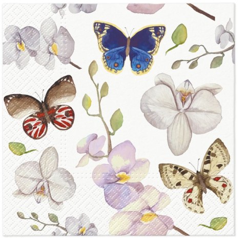 Serwetki Paw Lunch Orchidea Butterfly mix nadruk bibuła [mm:] 330x330 (SDL133700) Paw