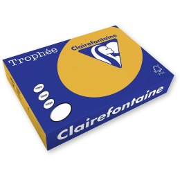 Papier kolorowy Trophee kolorowy A4 brązowy wielbłądzi 160g (xca41102) Trophee