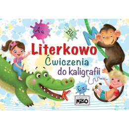 Książeczka edukacyjna Niko Literkowo. Ćwiczenia do kaligrafii. Niko