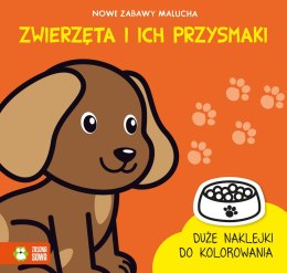 Książeczka edukacyjna Zielona Sowa Zwierzęta i ich przysma Zielona Sowa