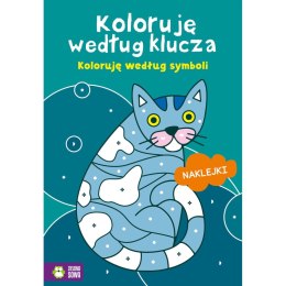 Książeczka edukacyjna Koloruję według klucza. Koloruję według symboli Zielona Sowa Zielona Sowa