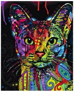 Zestaw kreatywny Norimpex malowanie po numerach - kolorowy kot (NO-1007029) Norimpex