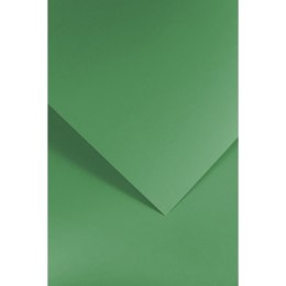 Papier ozdobny (wizytówkowy) gładki zielony A4 zielony 210g Galeria Papieru (205512) Galeria Papieru