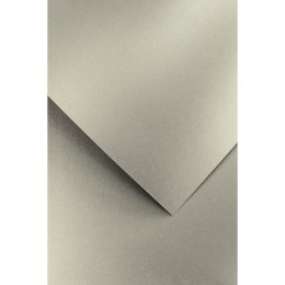 Papier ozdobny (wizytówkowy) pearl srebrny A4 srebrny 250g Galeria Papieru (205466) Galeria Papieru