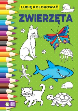 Książeczka edukacyjna Zielona Sowa Lubię kolorować. Zwierzęta Zielona Sowa