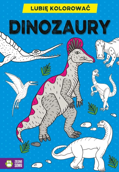 Książeczka edukacyjna Zielona Sowa Lubię kolorować. Dinozaury Zielona Sowa