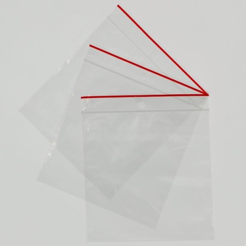 Worek strunowy Gabi-Plast 100 szt [mm:] 100x100 Gabi-Plast