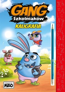 Książeczka edukacyjna Niko Gang Szkolniaków. kALIGRAFIA Niko