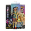 Lalka Mattel Monster High podstawowa (HPD53) Mattel