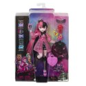 Lalka Mattel Monster High podstawowa (HPD53) Mattel