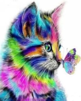 Zestaw kreatywny Norimpex malowanie po numerach - kot z motylem (NO-1005604) Norimpex