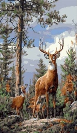 Zestaw kreatywny Norimpex malowanie po numerach - jelenie na wzgórzu 40x50cm (NO-1008979) Norimpex