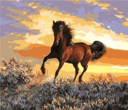 Zestaw kreatywny Norimpex malowanie po numerach - koń i zachód słońca 40x50cm (NO-1008871) Norimpex