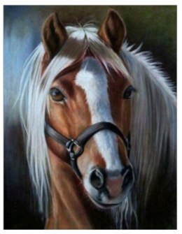 Zestaw kreatywny Norimpex malowanie po numerach - koń jasna grzywa 40x50cm (NO-1009230) Norimpex