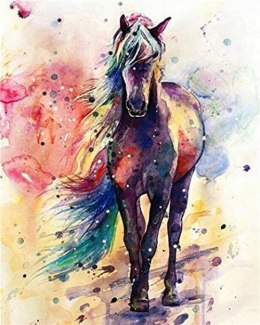 Zestaw kreatywny Norimpex malowanie po numerach - koń kolor malowany 40x50cm (NO-1005572) Norimpex