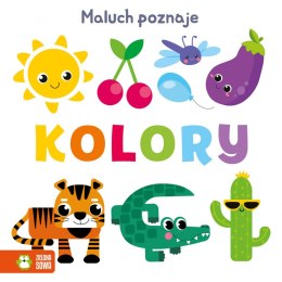 Książeczka edukacyjna Kolory Maluch poznaje. Zielona Sowa Zielona Sowa