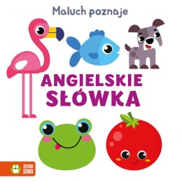 Książeczka edukacyjna Zielona Sowa Przeciwieństwa Maluch poznaje. Zielona Sowa