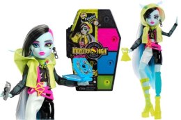 Lalka Mattel Monster High FRANKIE STEIN [mm:] 290 (HNF79) Mattel