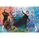 Puzzle Trefl Frozen XL Odkryj świat 160 el. (50022) Trefl