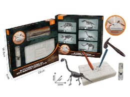 Zestaw kreatywny dla dzieci skamielina dinozaur Norimpex (NO-1007995) Norimpex