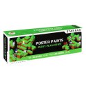 Farby plakatowe Starpak Pixel kolor: mix 20ml 12 kolor. (521495) Starpak