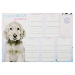 Plan lekcji Starpak Pies (536136) Starpak