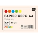 Papier kolorowy Interdruk A4 mix 80g (PAKSA4IN) Interdruk