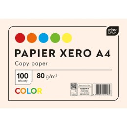 Papier kolorowy Interdruk A4 mix 80g (PAKSA4IN) Interdruk