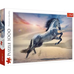 Puzzle Trefl Majestatyczny koń 1000 el. (10790) Trefl