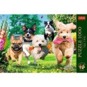 Puzzle Trefl Premium Plus Nadchodzą kłopoty 1000 el. (10800) Trefl